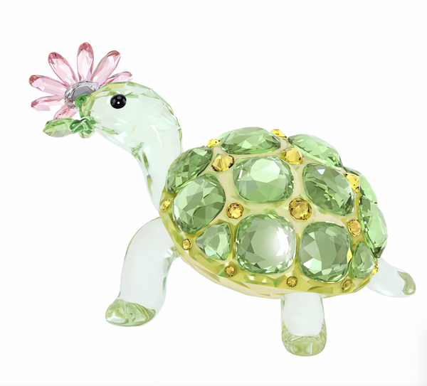 Idyllia: Tortoise and Daisy