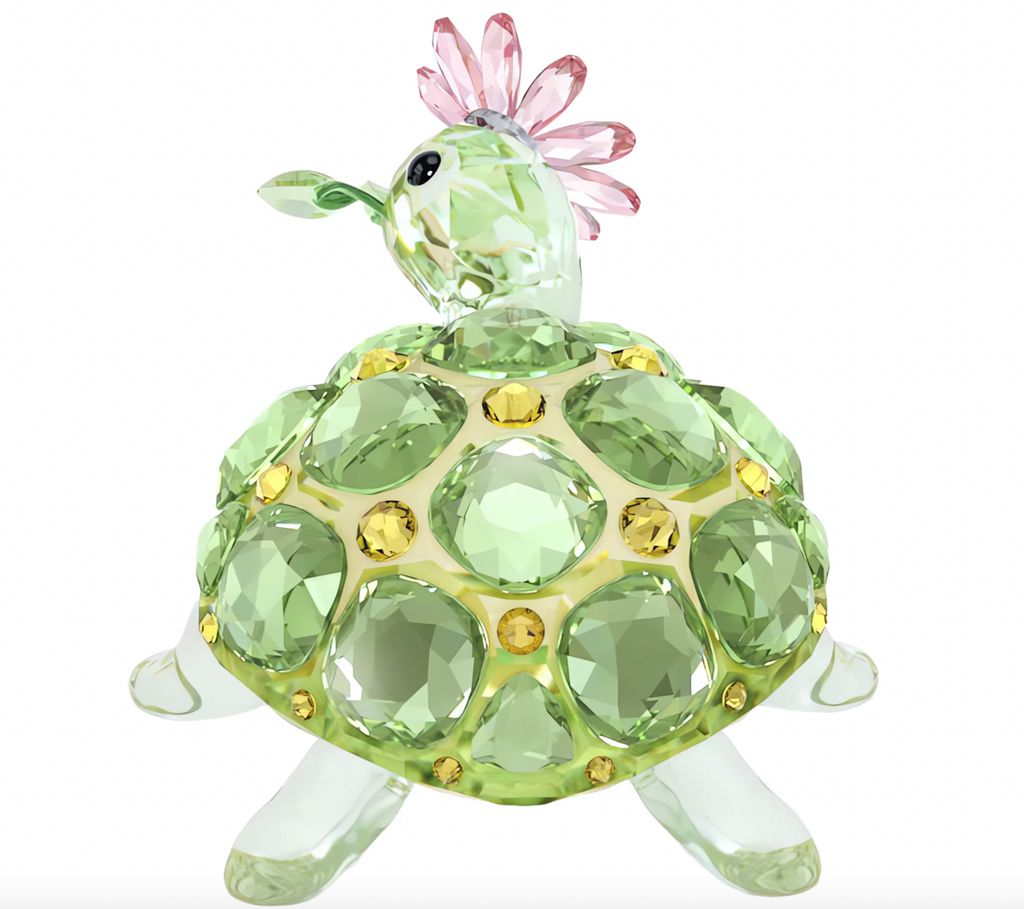 Idyllia: Tortoise and Daisy