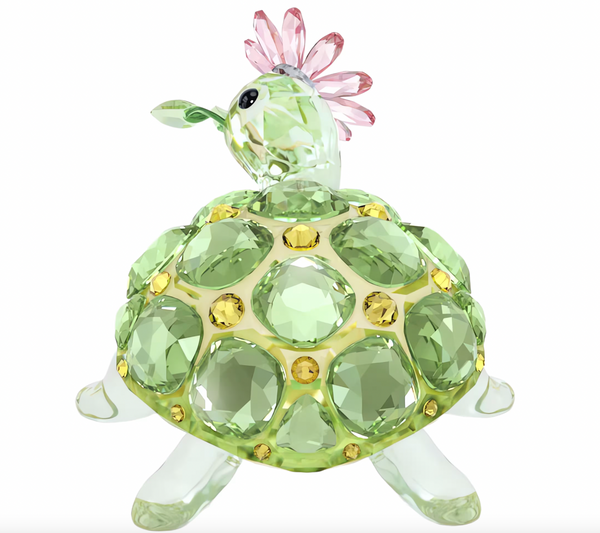 Idyllia: Tortoise and Daisy