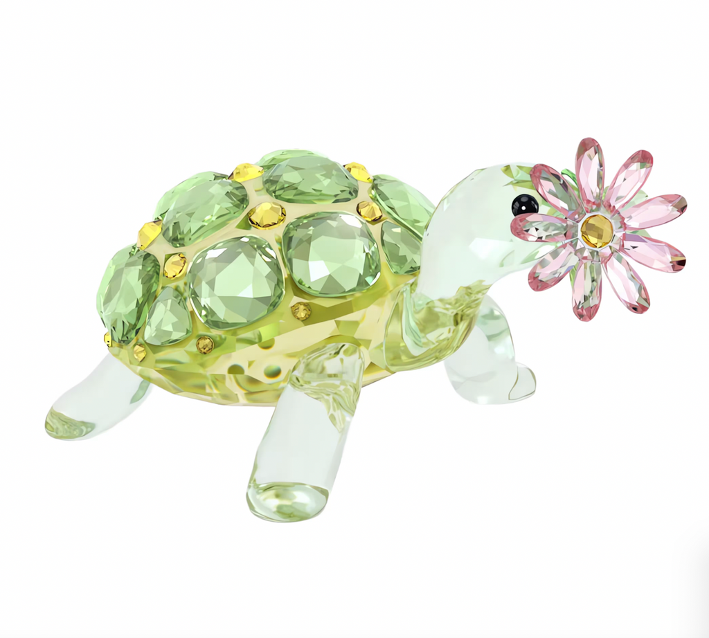 Idyllia: Tortoise and Daisy