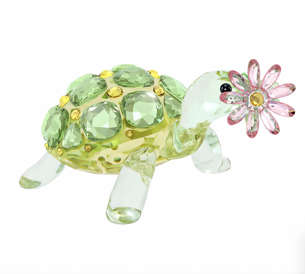 Idyllia: Tortoise and Daisy