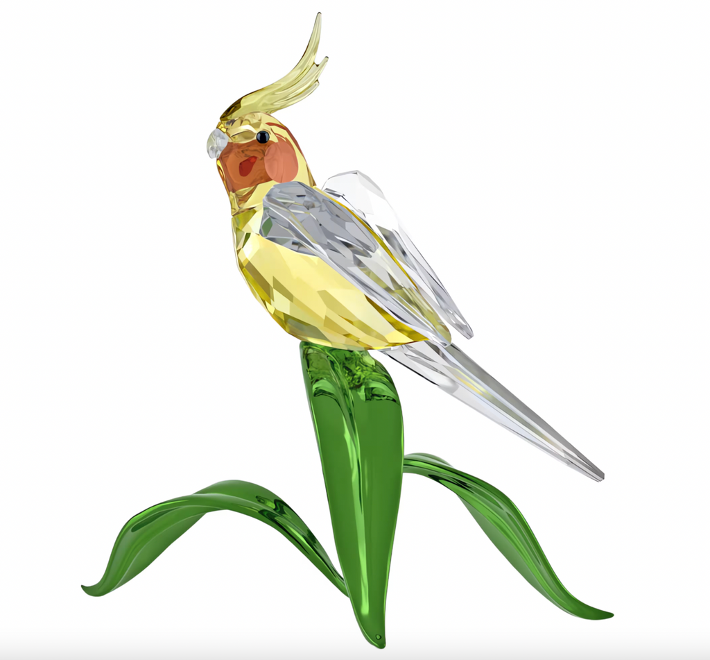 Idyllia: Cockatiel