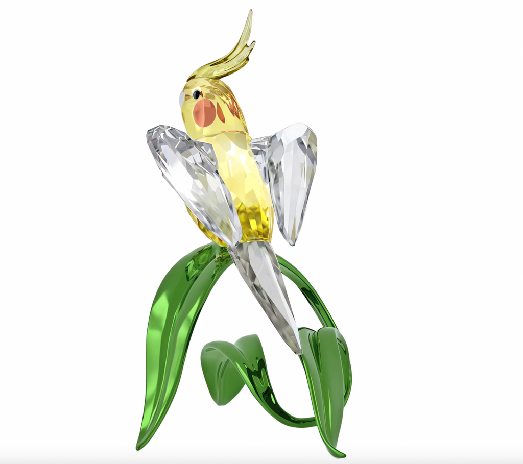 Idyllia: Cockatiel