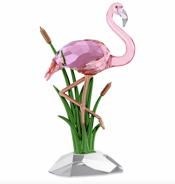 Idyllia: Flamingo