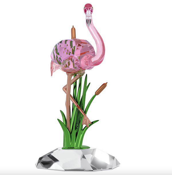 Idyllia: Flamingo