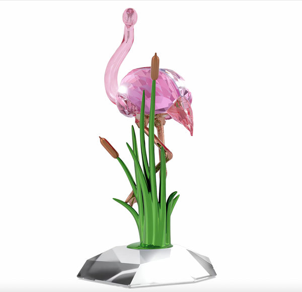 Idyllia: Flamingo