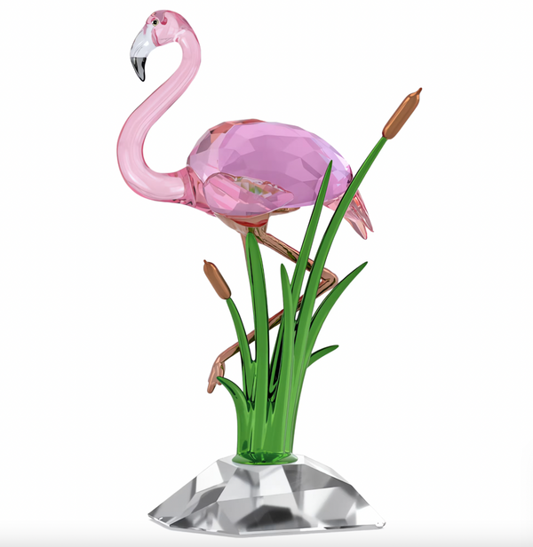 Idyllia: Flamingo