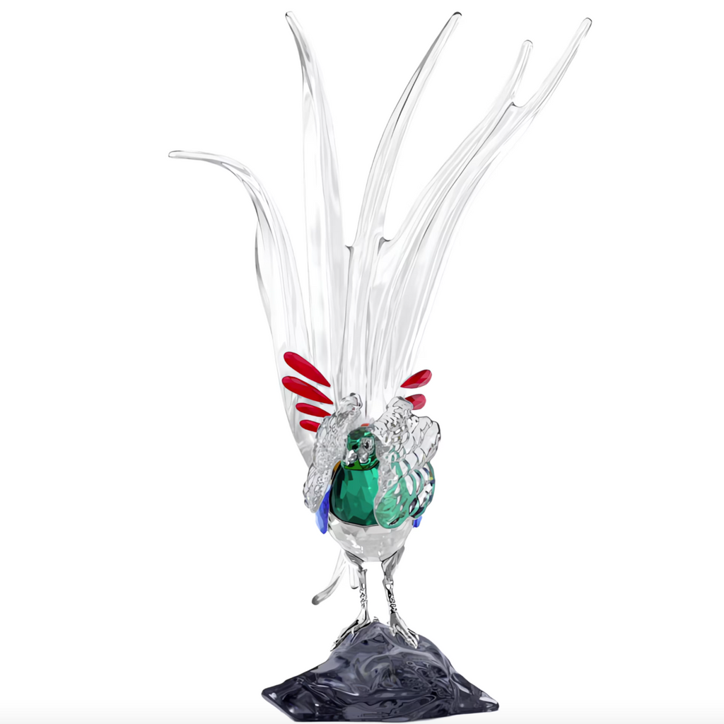 Idyllia: SCS Annual Edition 2026 Lady Amherst’s Pheasant