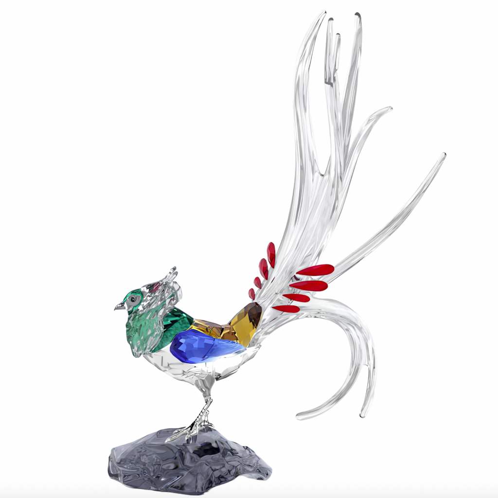 Idyllia: SCS Annual Edition 2026 Lady Amherst’s Pheasant