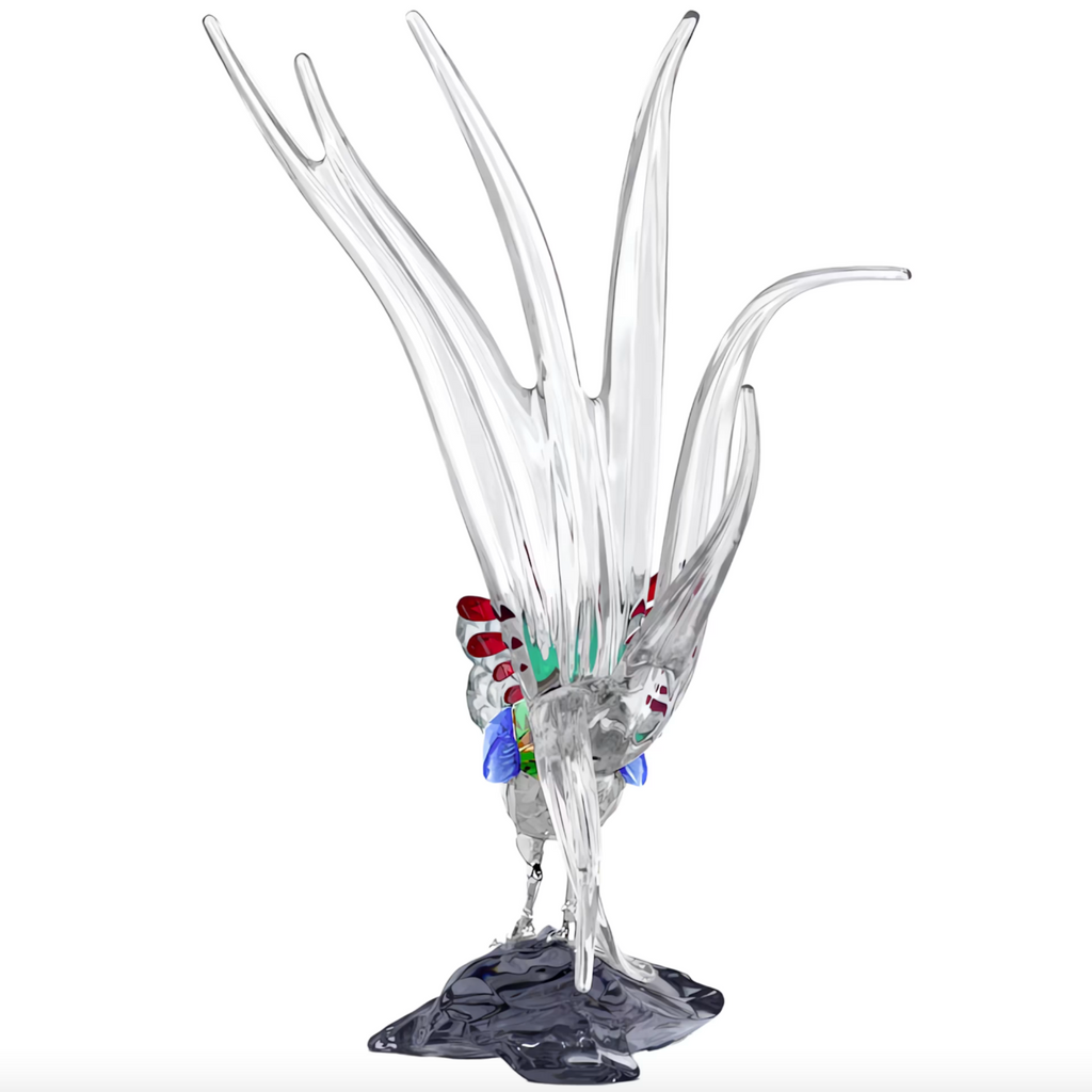 Idyllia: SCS Annual Edition 2026 Lady Amherst’s Pheasant