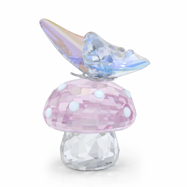 2026 Capsule: Mushroom and Butterfly