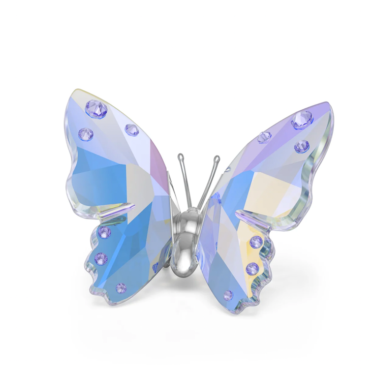 2026 Capsule: Butterfly