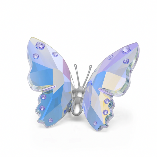 2026 Capsule: Butterfly