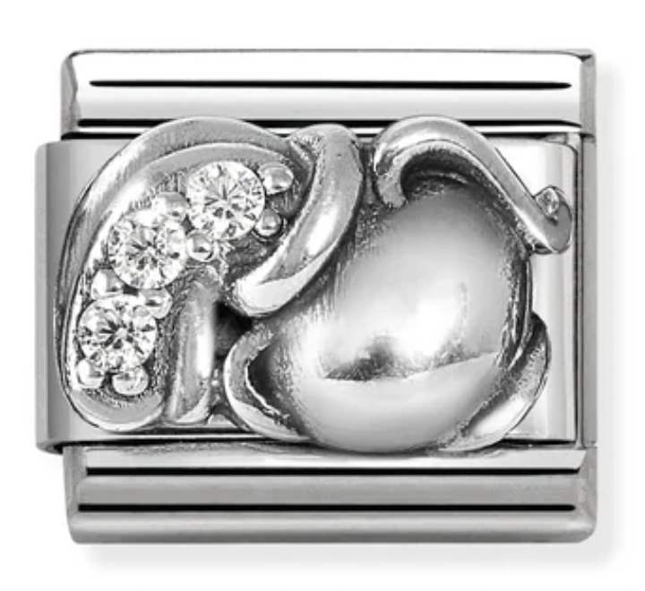 Zodiac - Aquarius with CZ Silver Charm