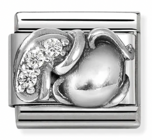 Zodiac - Aquarius with CZ Silver Charm