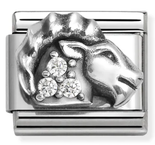 Zodiac - Capricorn with CZ Silver Charm