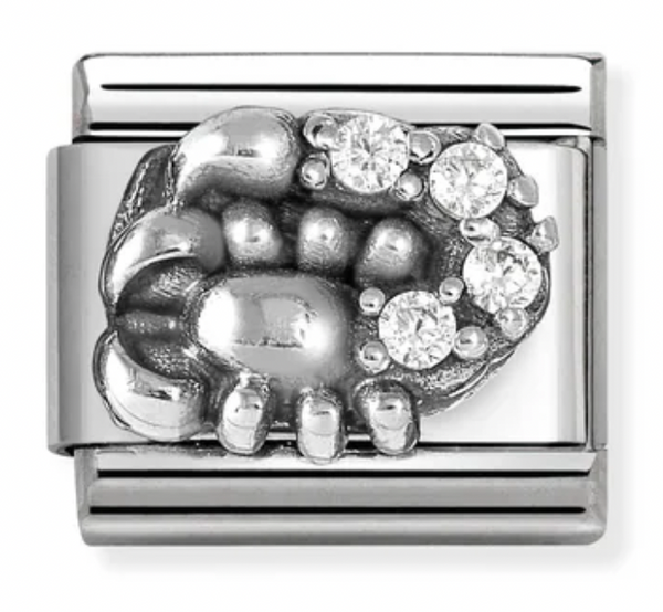 Zodiac - Scorpio with CZ Silver Charm