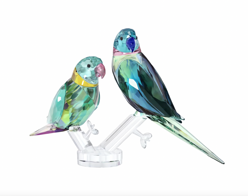 Jungle Beats: Parakeet Couple Fife & Fifer