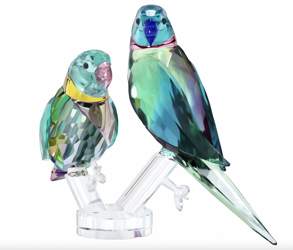 Jungle Beats: Parakeet Couple Fife & Fifer