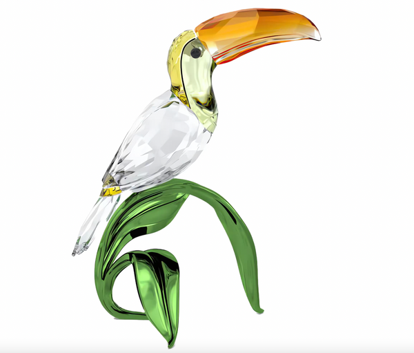 Idyllia: Toucan