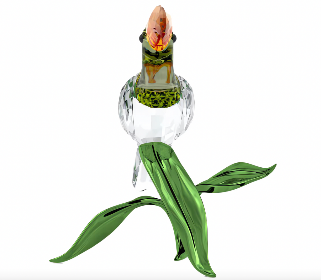Idyllia: Toucan