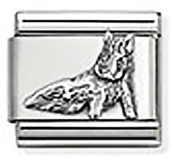 Travel - Porcellino Fountain Relief (Florence) Silver Charm