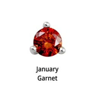 Birthstone Silver Stud Earrings - 12 months