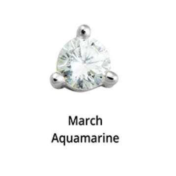 Birthstone Silver Stud Earrings - 12 months
