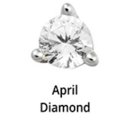Birthstone Silver Stud Earrings - 12 months