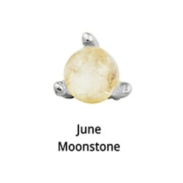 Birthstone Silver Stud Earrings - 12 months