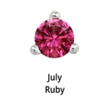 Birthstone Silver Stud Earrings - 12 months