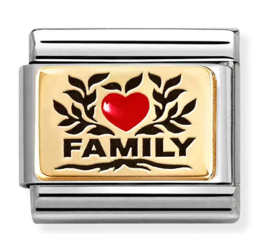 Family Red Heart Gold Charm