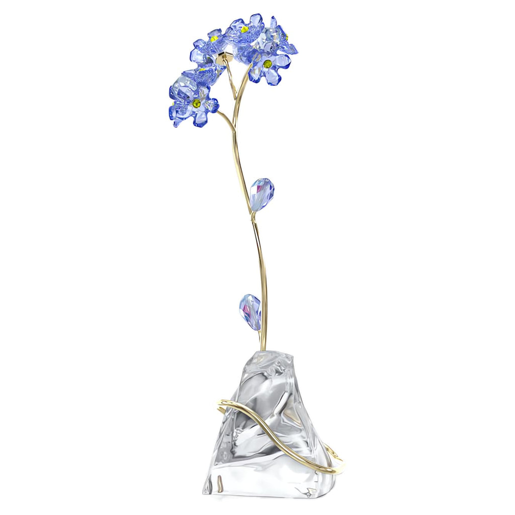 Florere: Forget-me-not