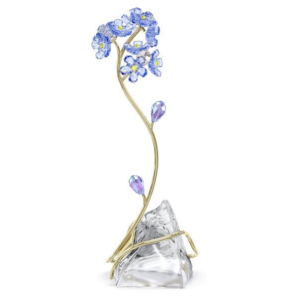 Florere: Forget-me-not