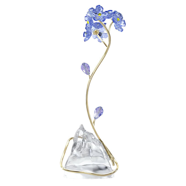 Florere: Forget-me-not
