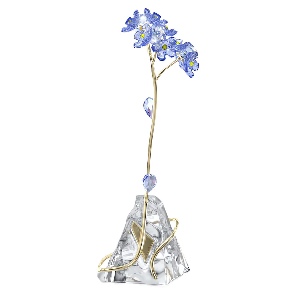 Florere: Forget-me-not