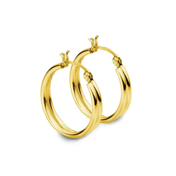 Fancy Double Hoop design earring - 2 Colours