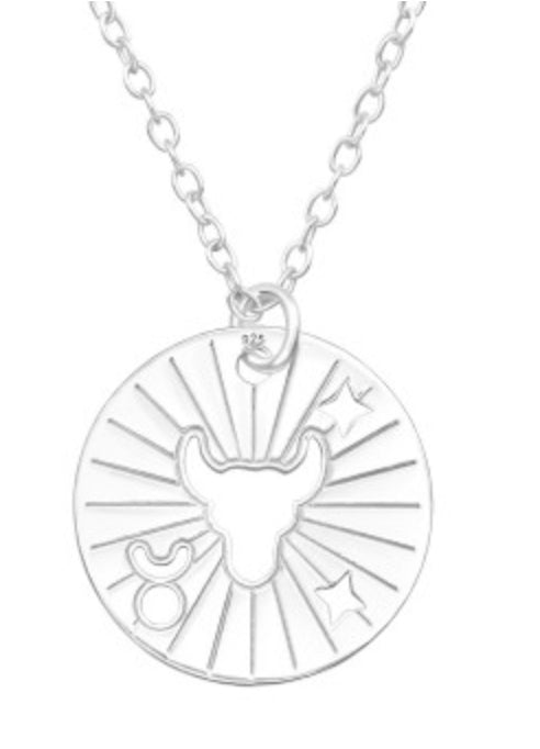 Kids Zodiac Silver Necklace