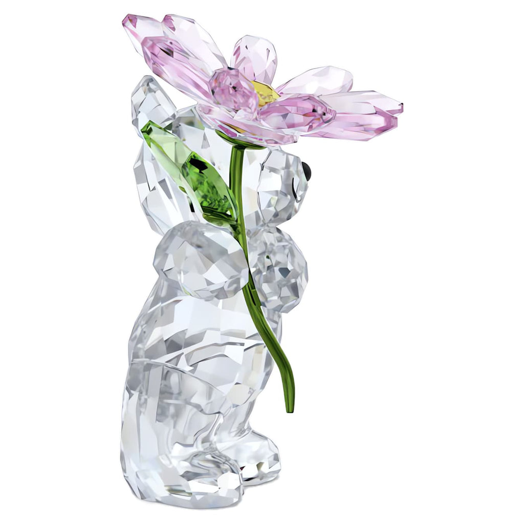 Kris Bear: A Daisy for You