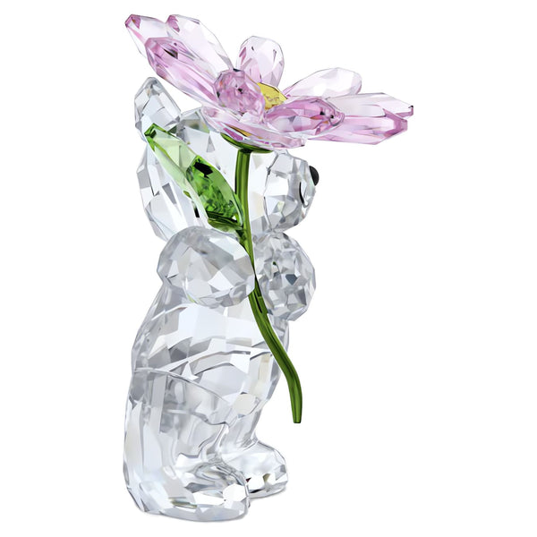 Kris Bear: A Daisy for You