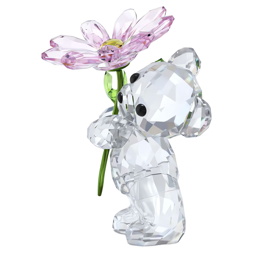 Kris Bear: A Daisy for You