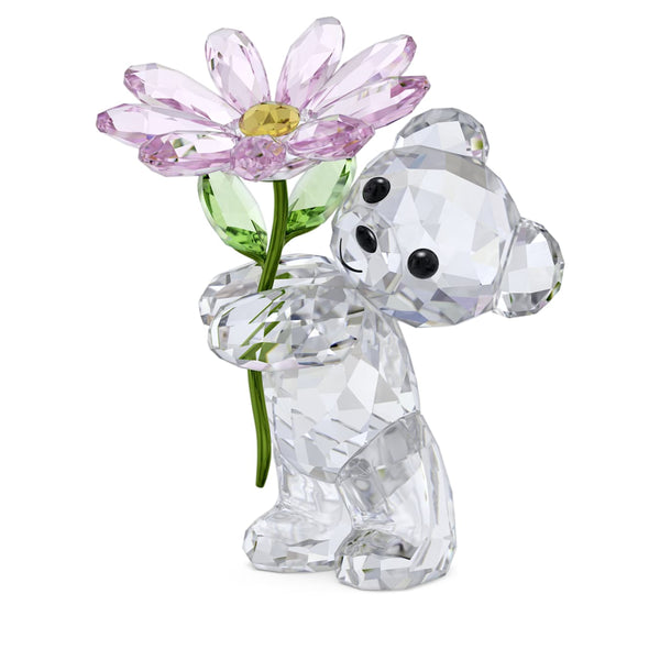 Kris Bear: A Daisy for You