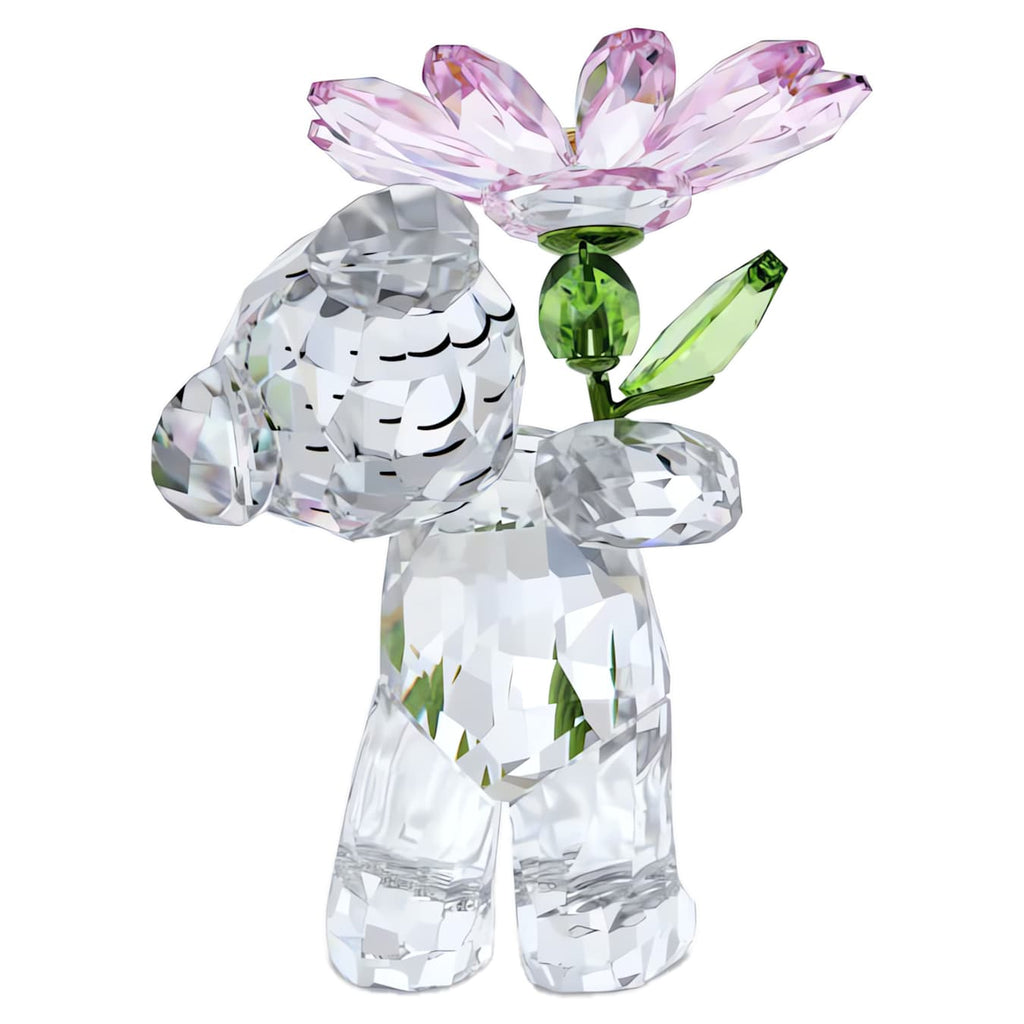 Kris Bear: A Daisy for You