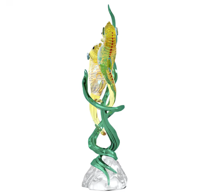 Idyllia: SCS Annual Edition 2025 Seahorse