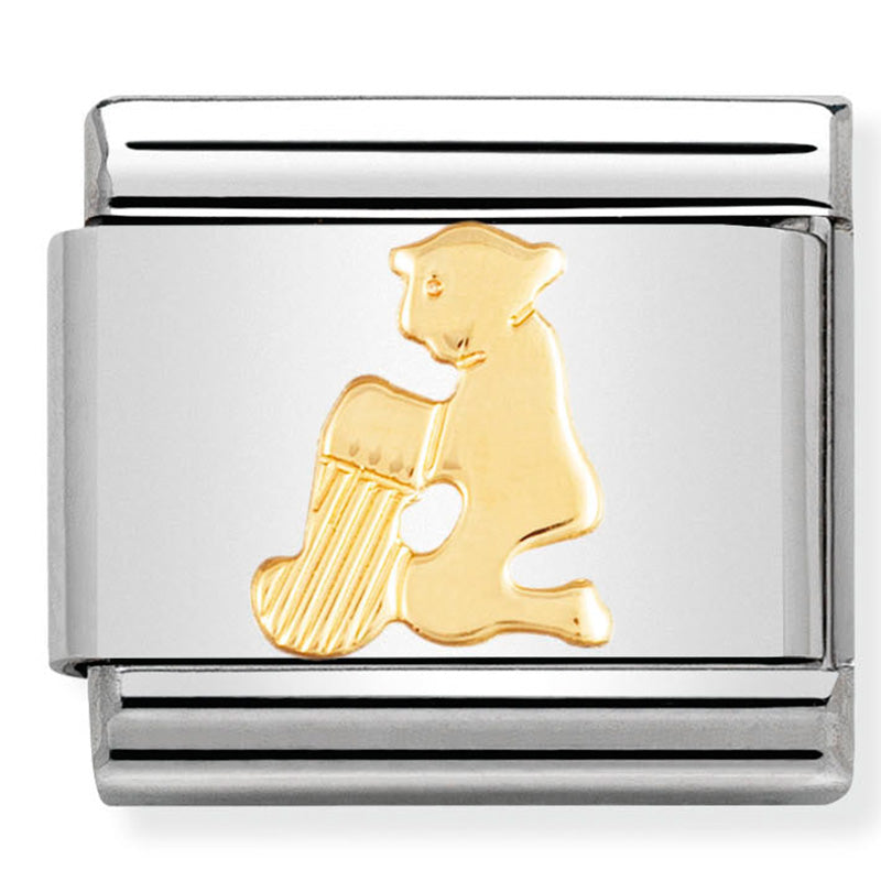 Nomination Aquarius Gold Charm