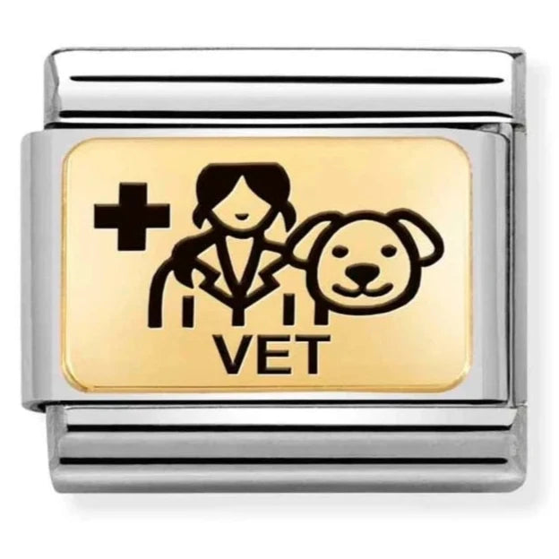 Occupation - Vet Gold Charm