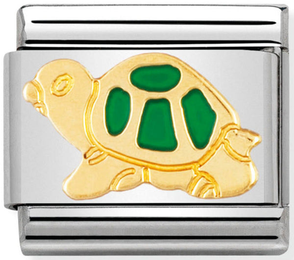 Nomination Green Turtle