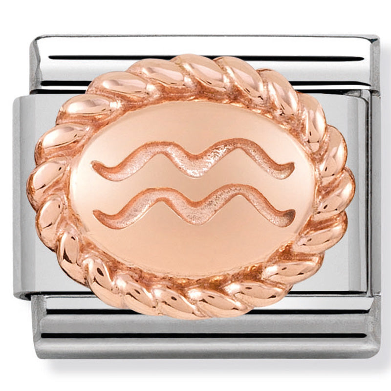 Nomination Aquarius Birthstone Birthday Rose Gold Charm Link 
