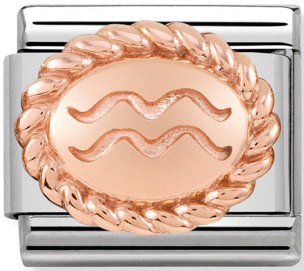 Nomination Aquarius Birthstone Birthday Rose Gold Charm Link 