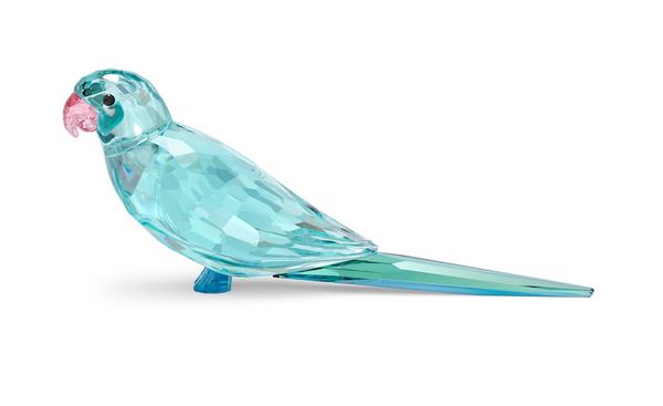 Jungle Beats: Blue Parakeet Paco